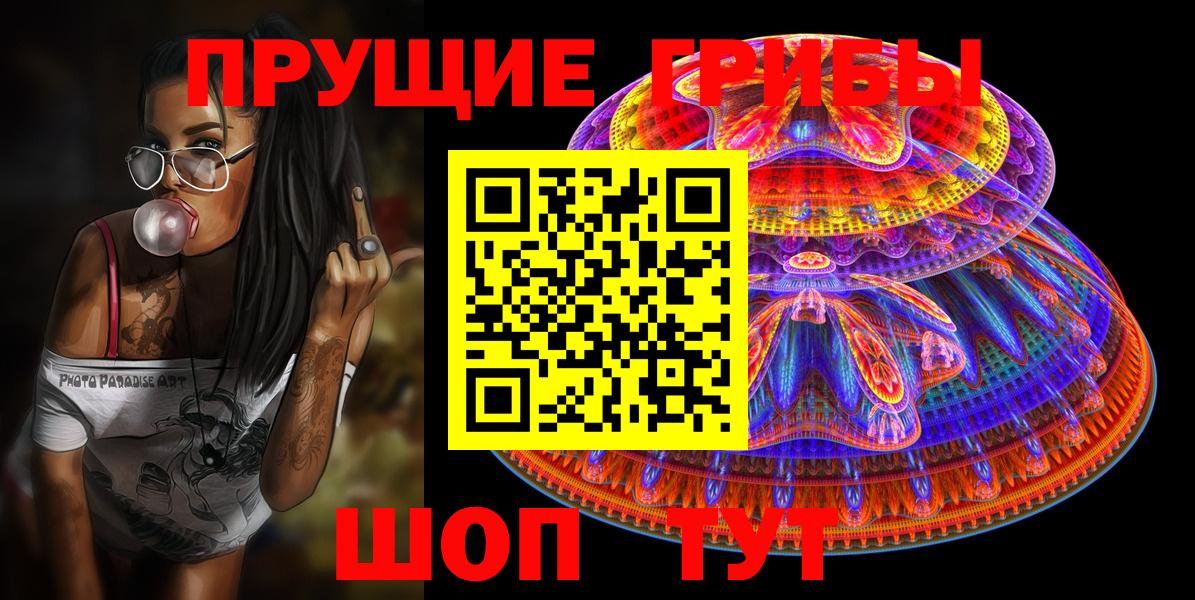 Псилоцибиновые грибы Cubensis Клинцы