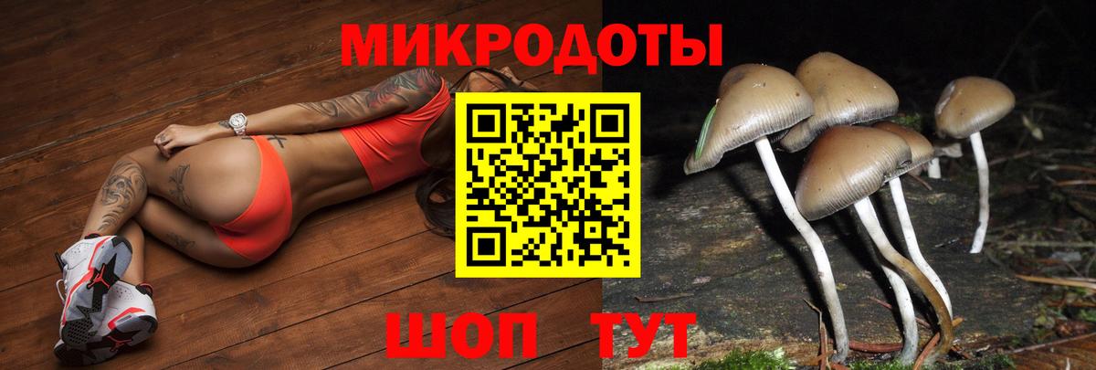 Клинцы  Псилоцибиновые грибы GOLDEN TEACHER  Псилоцибиновые грибы Psilocybine cubensis  Вход с VPN 